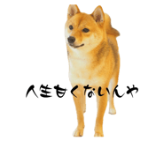 882300491
