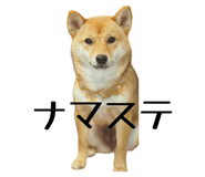 882300495