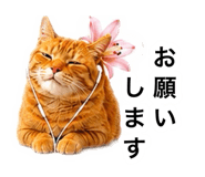 882300680