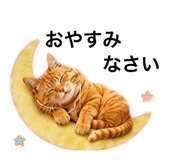 882300681