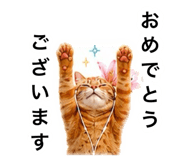 882300683