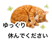 882300684