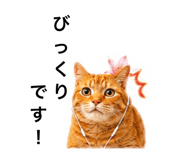 882300686