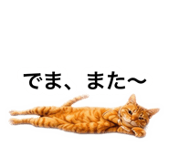 882300697