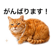 882300698