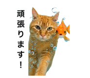 882300700