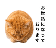 882300701