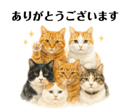 882300704