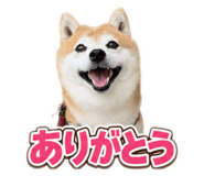 882313290