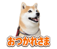 882313291