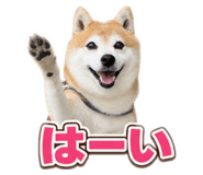 882313292