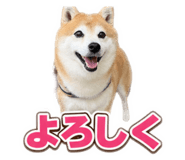 882313294