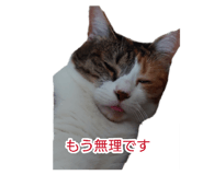 882314707