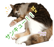 882314709