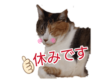 882314715
