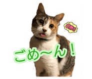 882314719