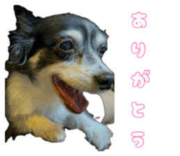 882320109