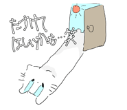 882342616