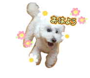 882349844