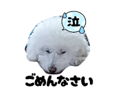882349852