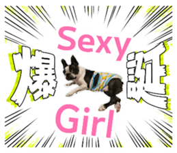 882360864