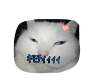 882365547