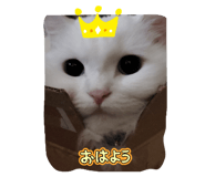 882365548