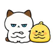 882379447