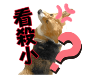 882383426