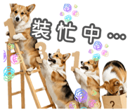 882383428