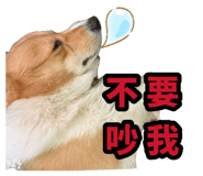 882383429