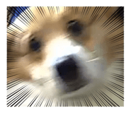 882383431