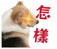 882383432