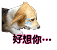 882383433