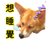 882383434