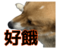 882383436