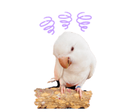 882384380