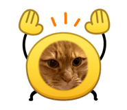 882384633