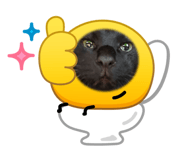 882384642