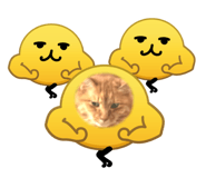 882384644
