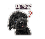 882391006
