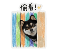 882396818