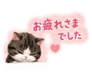 882397345