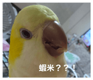 882400363
