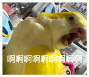 882400381