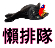 882403243