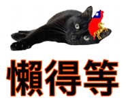 882403244