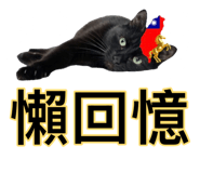882403246