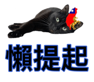 882403247