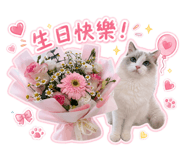 882404392